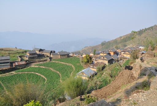 Village Tour / Home Stay Trekking